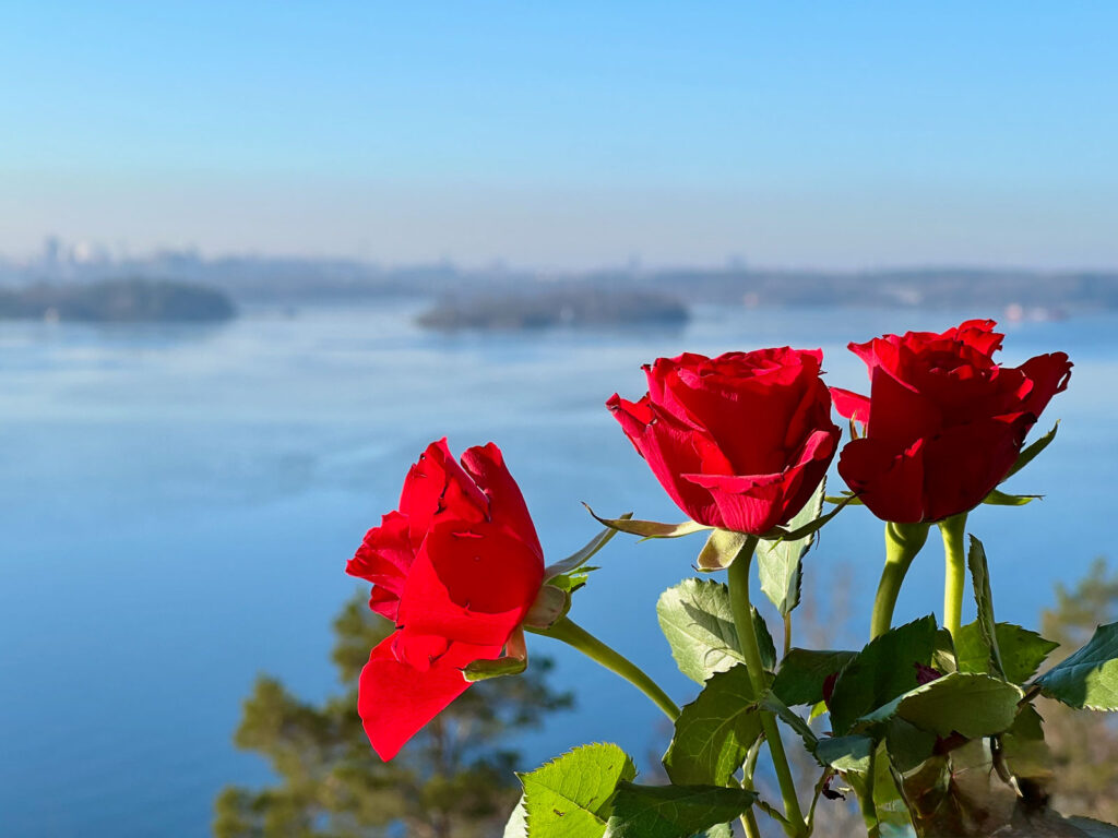 Fira Fars Dag med frukost vid havet på Lidingö